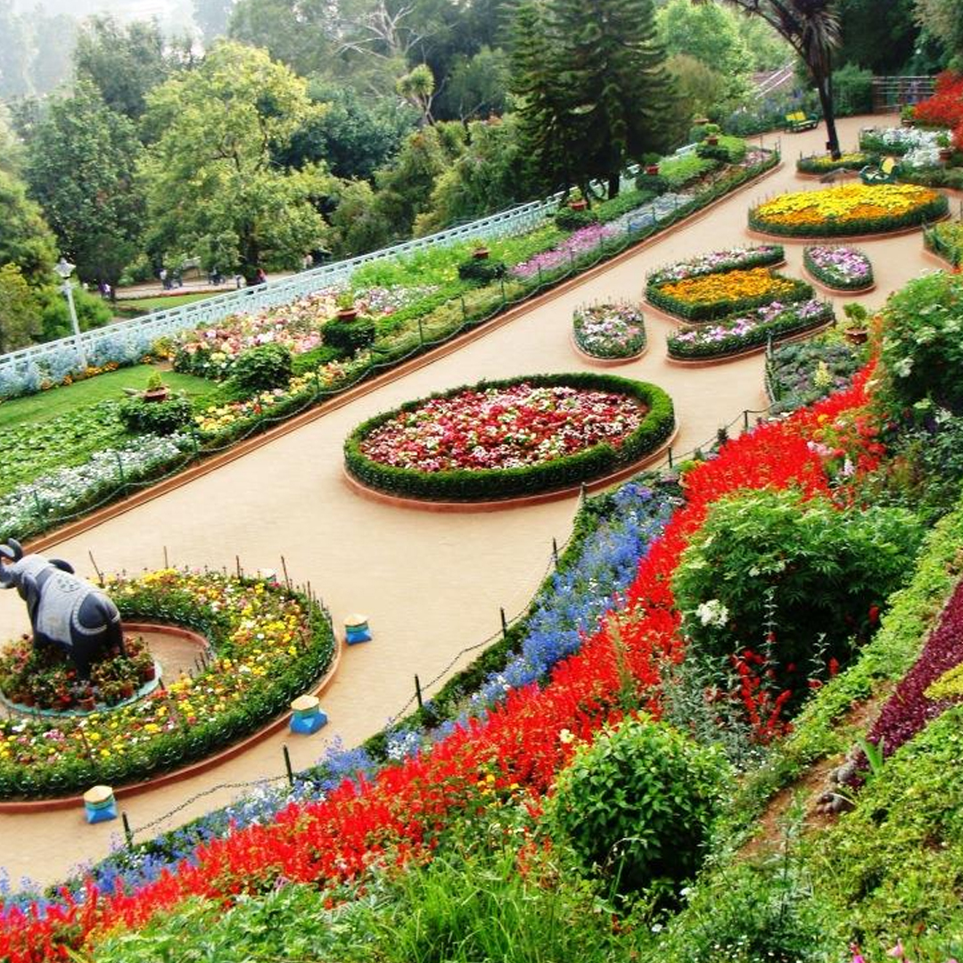 ad one way taxi service