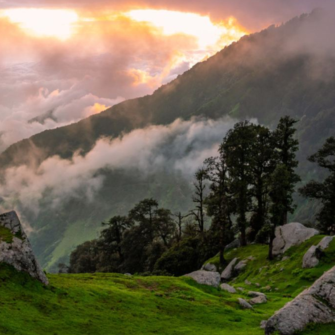 ad one way taxi service